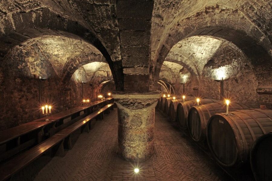 Trier: Discovery Tour – Germany's Oldest Wine Cellar - Key points to know before you book