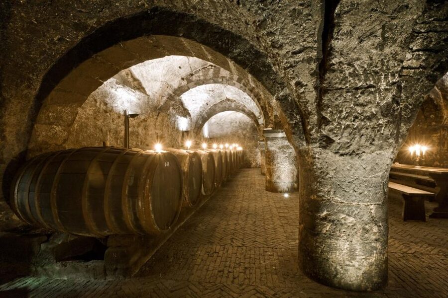 Trier: Discovery Tour – Germany's Oldest Wine Cellar - Weather, access, and the practical details