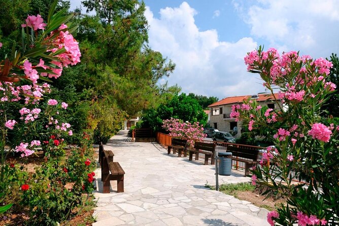 Troodos Mountains Grape Escape: All Inclusive Food & Wine Tour - Key points at a glance
