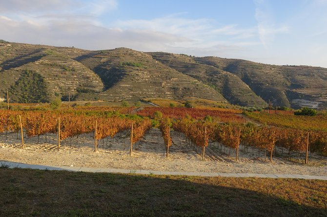 Troodos Mountains Grape Escape: All Inclusive Food & Wine Tour - The bonus stop and the changing route