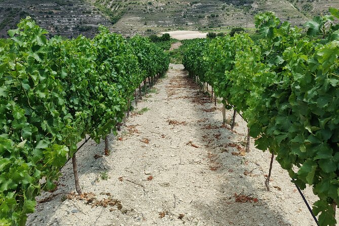 Troodos Mountains Grape Escape: All Inclusive Food & Wine Tour - Who will get the most from this experience