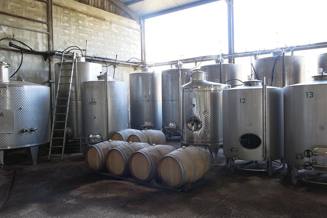 Troodos Mountains Vino Venture: All Inclusive Full Day Wine Tour - Three wineries and a monastery in the Troodos foothills