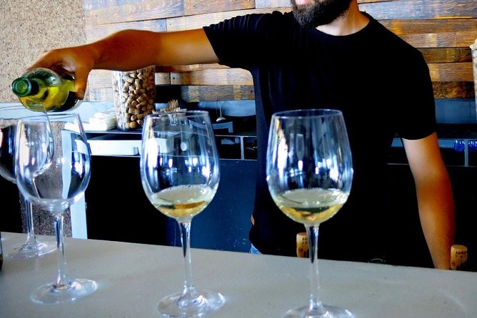 Troodos Mountains Vino Venture: All Inclusive Full Day Wine Tour - Pickup from Paphos and a seven-hour schedule
