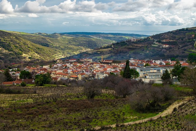 Troodos Mountains Vino Venture: All Inclusive Full Day Wine Tour - Is $142.76 a fair price?
