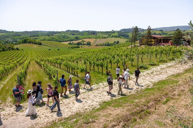 Tuscany Day Trip from Florence: Siena, San Gimignano, Pisa and Lunch at a Winery - What the price really buys you