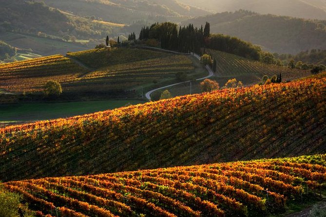Tuscany Hiking Tour from Siena Including Wine Tasting - Key points to know before you book