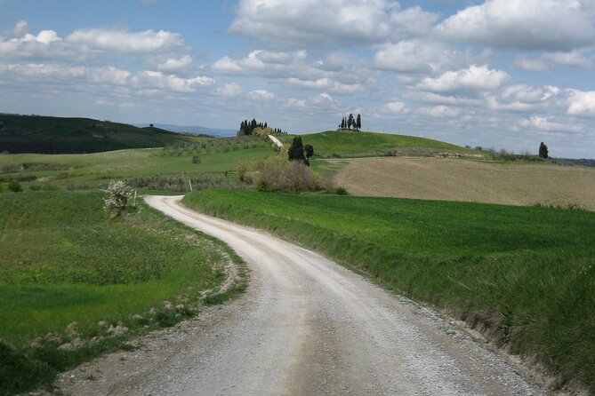 Tuscany Hiking Tour from Siena Including Wine Tasting - Starting at Siena station at 9:00 a.m.