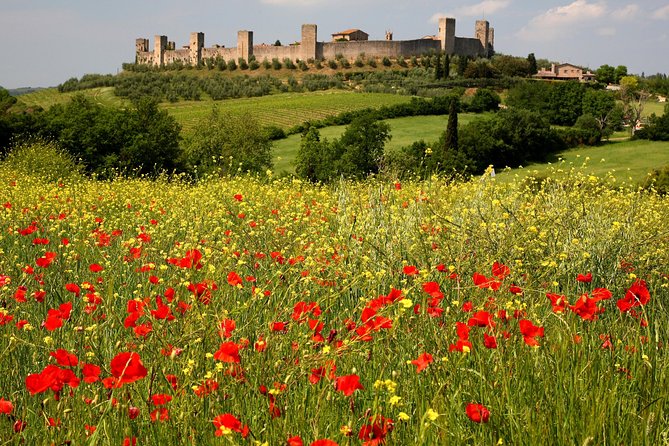 Tuscany Hiking Tour from Siena Including Wine Tasting - Views, villages, and photo stops