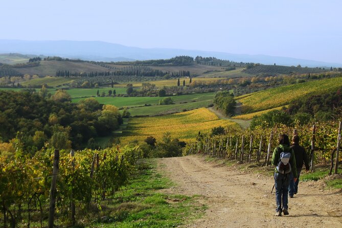 Tuscany Hiking Tour from Siena Including Wine Tasting - Returning to Siena on your own schedule