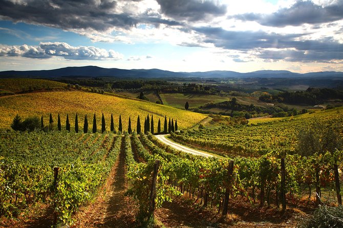 Tuscany Hiking Tour from Siena Including Wine Tasting - The guide makes the countryside readable