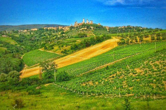 Tuscany Vespa Tour from Florence with Wine Tasting - A local winery lunch with Chianti