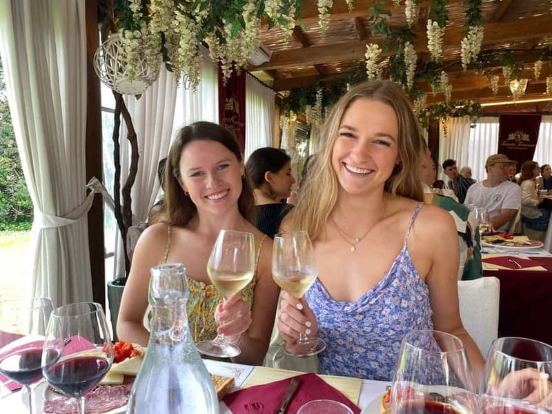 Tuscany Wine Tour : 2 Wineries & San Gimignano from Florence - San Gimignano in 90 minutes