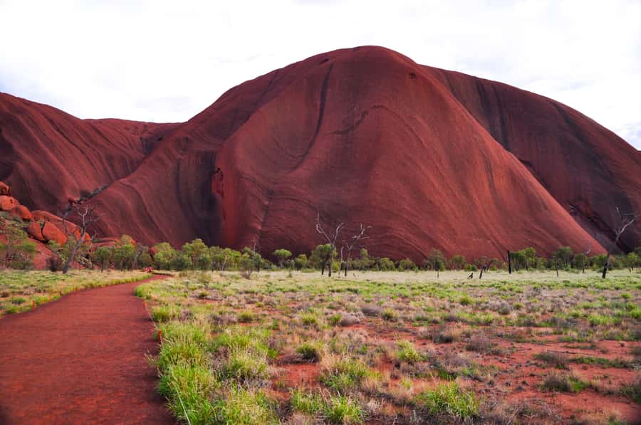 Uluru: Sacred Sites & Sunset Tour with Wine & Cheeseboard - Key points to know before booking