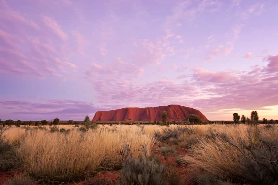 Uluru: Sacred Sites & Sunset Tour with Wine & Cheeseboard - Sunset, sparkling wine, and the cheeseboard