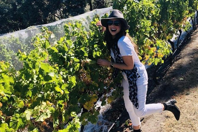 Valleys of Vino Full Day Tour - Coal Valley Vineyard and changing cellar doors
