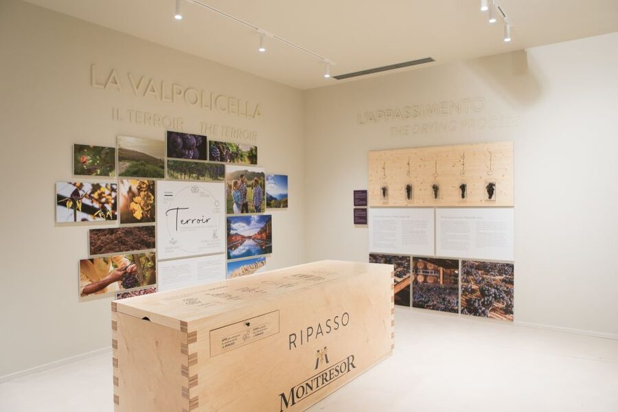 Verona: Montresor Winery Visit with Wine Tasting and Snacks - Valpolicella, Amarone, and the appassimento process