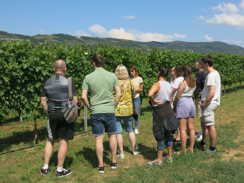 Verona: Valpolicella Wine Self-Guided E-Bike Tour & Tastings - Who Should Book This Ride