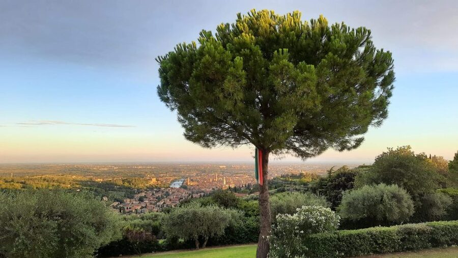 Verona: Wine Tasting with Snacks and Panoramic Views - The terrace view is the real setting