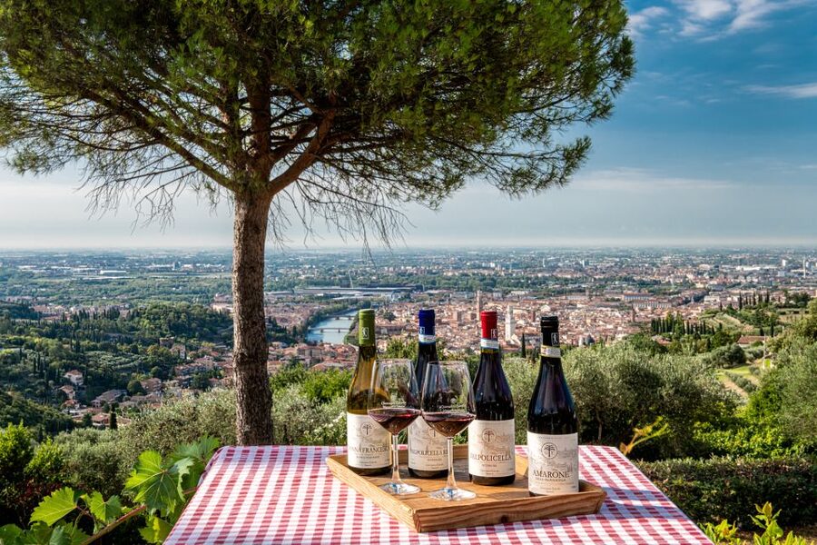 Verona: Wine Tasting with Snacks and Panoramic Views - Getting there from Verona