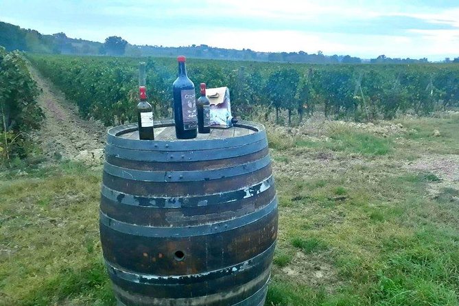 Vespa Tour with Lunch&Chianti Winery from Siena - Casale dello Sparviero and the lunch stop