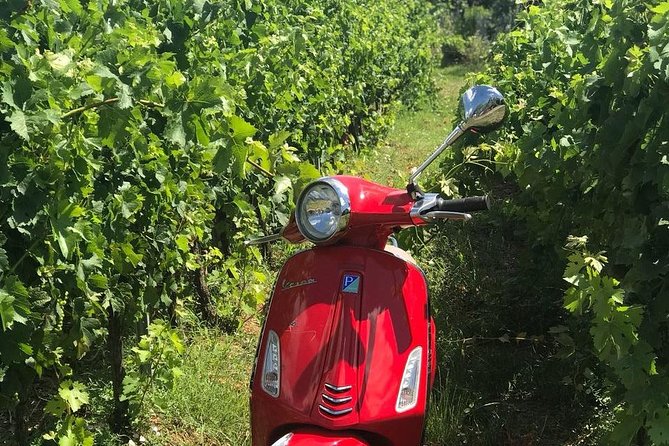 Vespa Tour with Lunch&Chianti Winery from Siena - Monteriggioni and the medieval walls