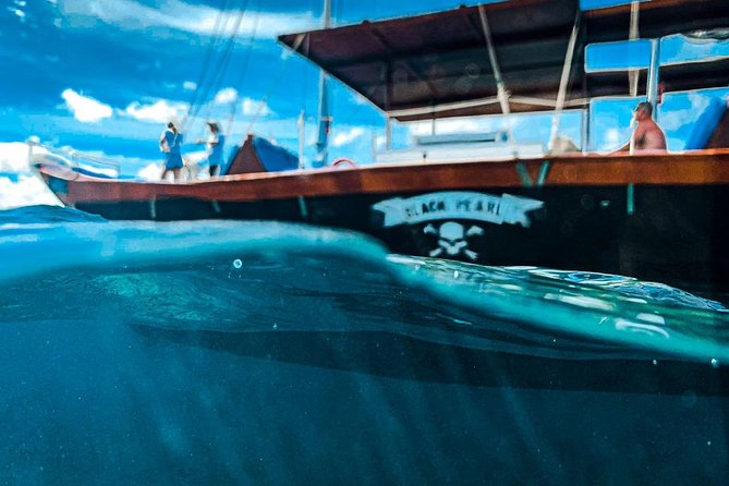 VIP Morning Delight Champagne Sailing and Snorkeling with Lunch - Who will enjoy this cruise most