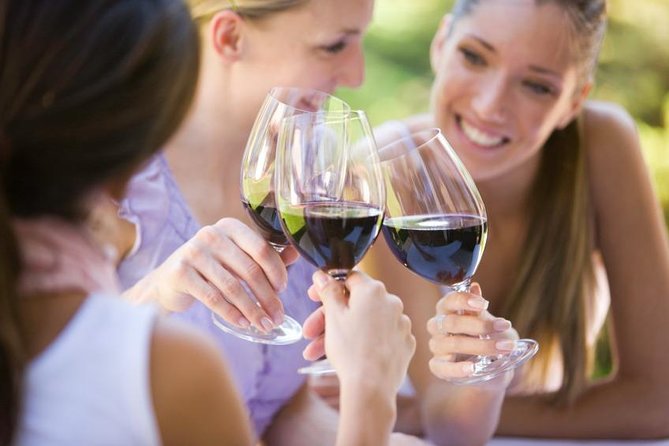 Visit 4 Wineries in Limo Party Bus-Includes Charcuterie Lunch! - Cove Mesa, a newer name in the valley