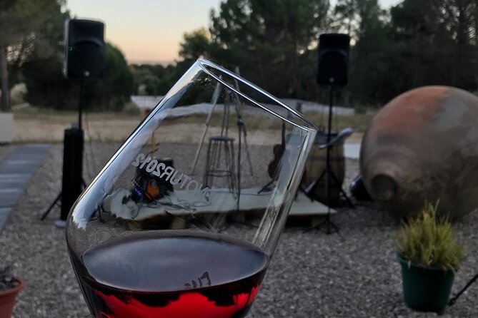 Visit and Wine Tasting at the Territorio Luthier Winery - Key points at Territorio Luthier