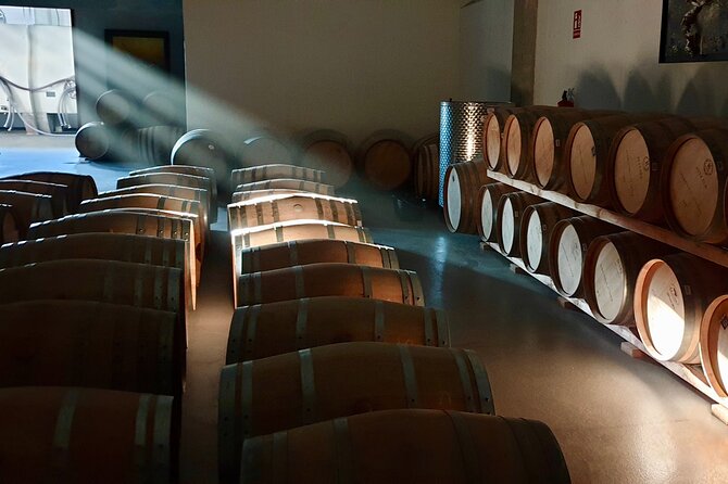 Visit and Wine Tasting at the Territorio Luthier Winery - A small winery with a different point of view