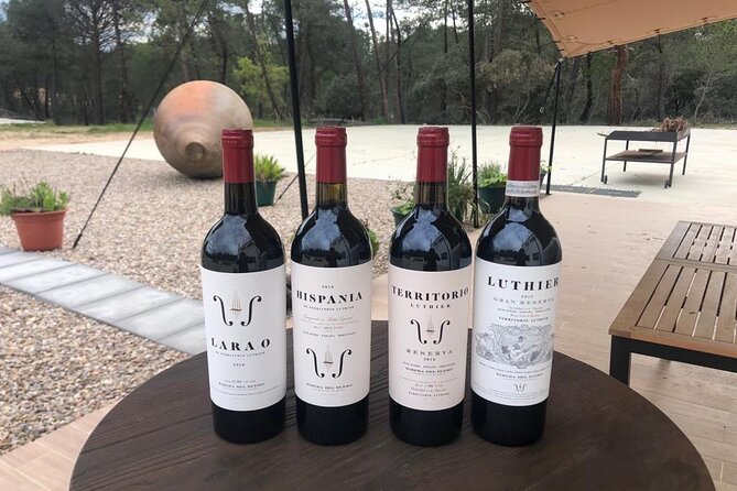 Visit and Wine Tasting at the Territorio Luthier Winery - The tasting: crianza, reserva, and Hispania Reserva