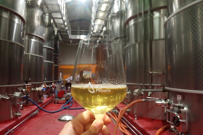Visit and wine tasting with sausage and BODEGA PIRINEOS cheese - A Practical Introduction to Bodega Pirineos