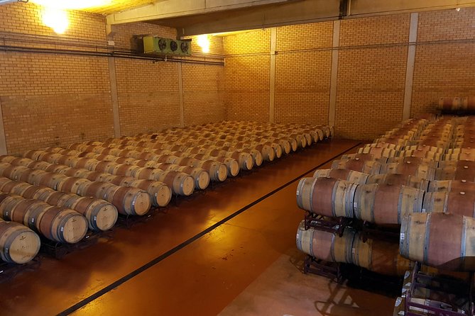Visit and wine tasting with sausage and BODEGA PIRINEOS cheese - From Grape Reception to Bottle