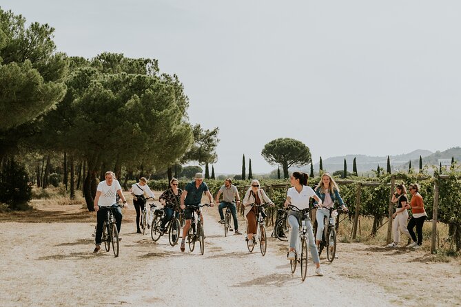 Visit La Joya Escondida de la Ribera del Duero Winery - Walking the vineyard and understanding the estate