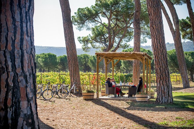 Visit La Joya Escondida de la Ribera del Duero Winery - Timing, language, and group size