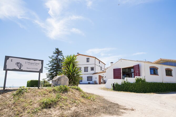 Viticulture and Wine-Tasting 3-Hour Trip from Barcelona - Meeting the vines at Bodega J. Miquel Jané