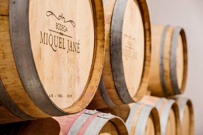 Viticulture and Wine-Tasting 3-Hour Trip from Barcelona - From grape to bottle in the cellar