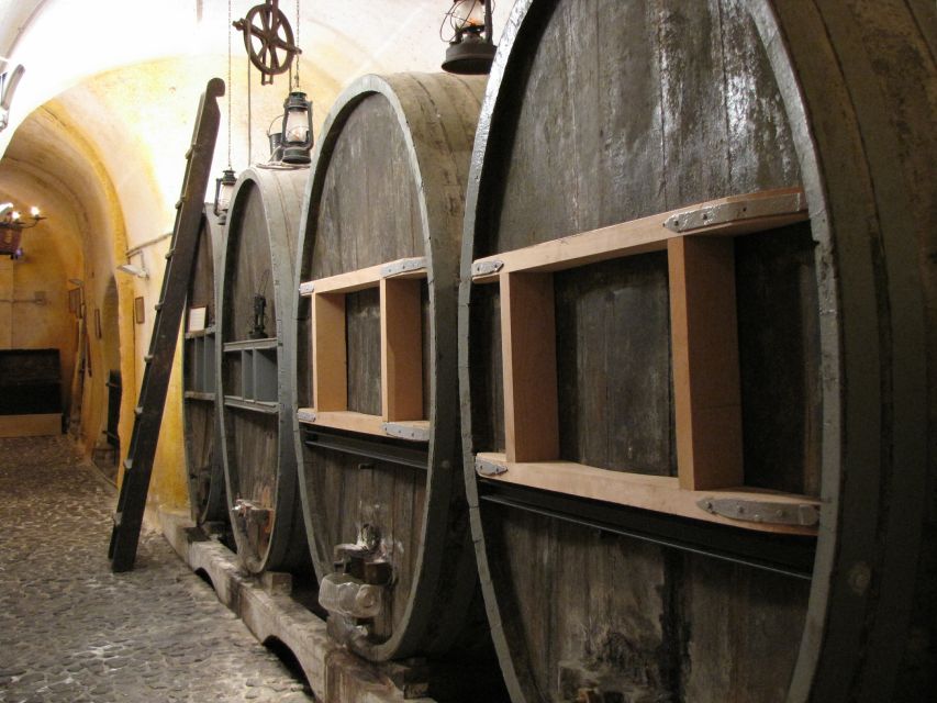 Vothonas: Wine Museum Ticket with Tastings and Audio Guide - Who will enjoy this visit most?