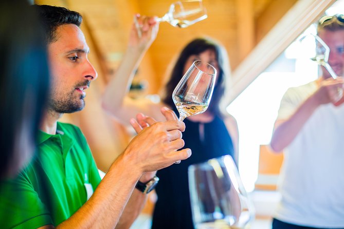 Wachau Valley Small-Group Tour and Wine Tasting from Vienna - Dürnstein and the castle ruins