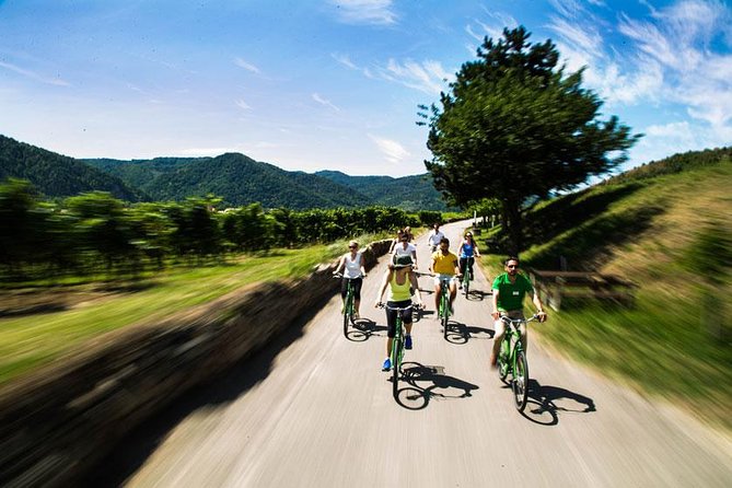 Wachau Valley Wine Tasting Bike Tour from Vienna - Cycling beside the Danube from Krems