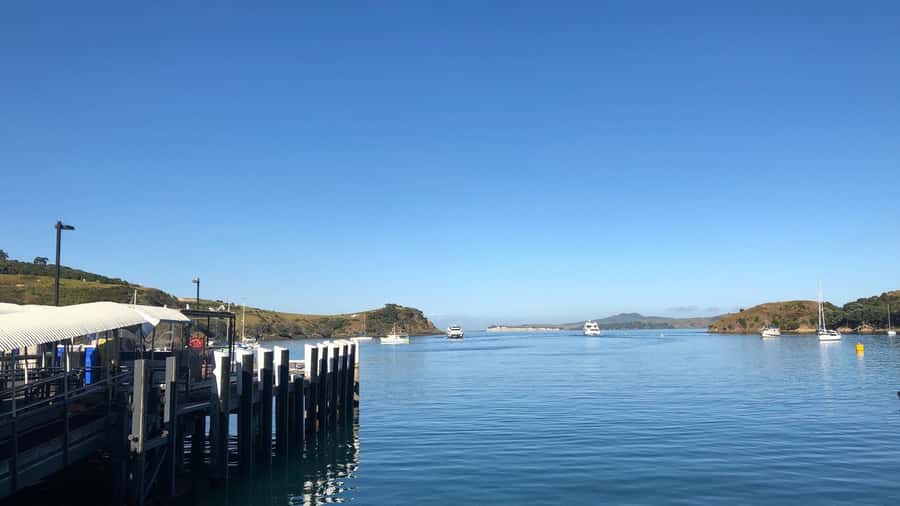 Waiheke Island Gourmet Food and Wine Tour with Lunch - First tastings: oysters, olive oil, and boutique wine