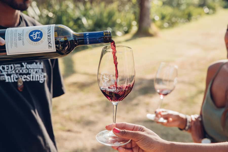 Waiheke Island: Scenic Island Wine Tour & Local Wine Tasting - Is $113 good value?