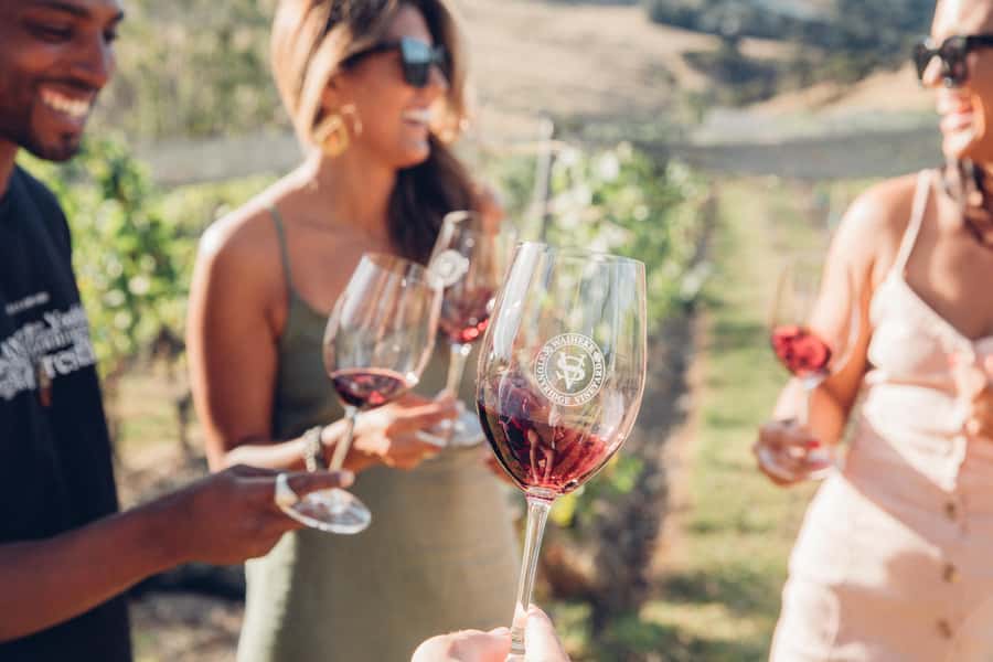 Waiheke Island: Scenic Island Wine Tour & Local Wine Tasting - What this Waiheke wine tour is really like