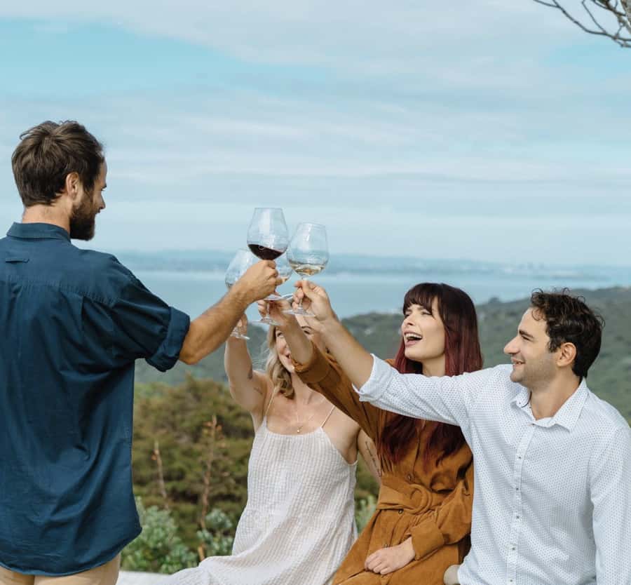 Waiheke Island: Scenic Island Wine Tour & Local Wine Tasting - Transport, walking, and who should book