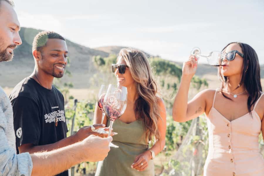 Waiheke Island: Wine Tour & Lunch at Award Winning Venue - Key points to know before you book