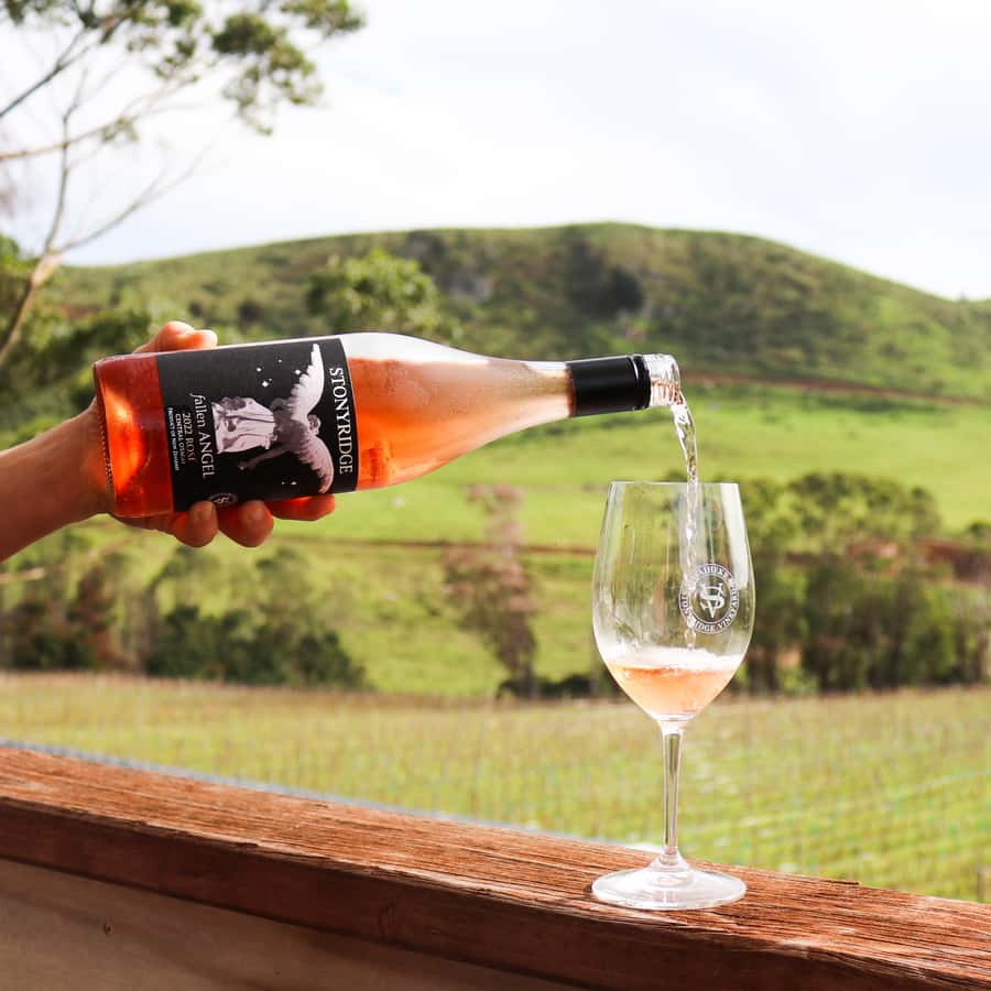 Waiheke Island: Wine Tour & Lunch at Award Winning Venue - Why this Waiheke wine tour works so well