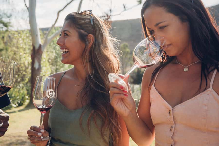 Waiheke Island: Wine Tour & Lunch at Award Winning Venue - How the guides shape the experience