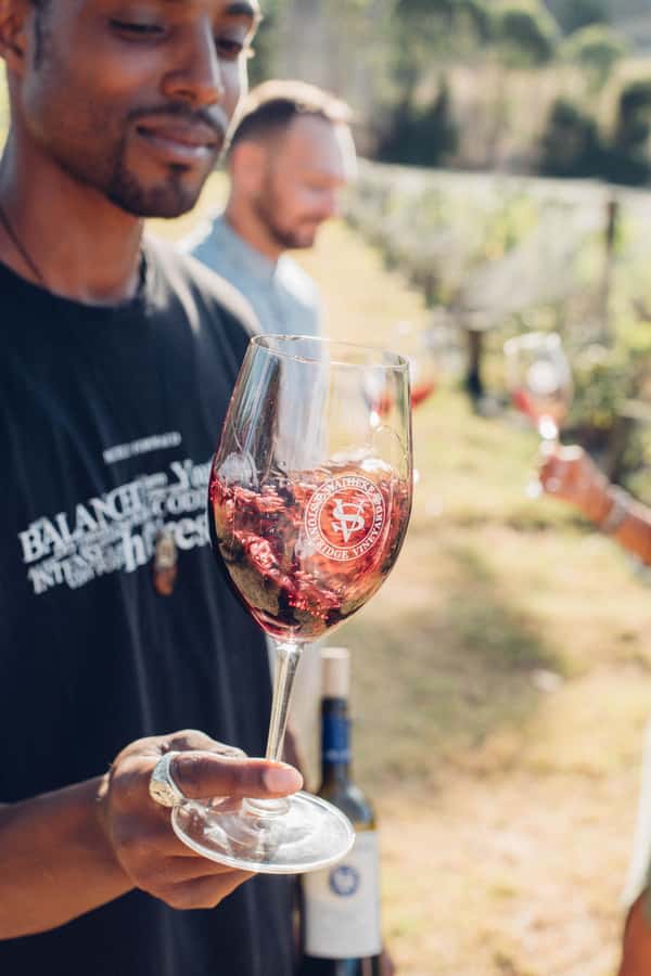 Waiheke Island: Wine Tour & Lunch at Award Winning Venue - What the $173 price really covers