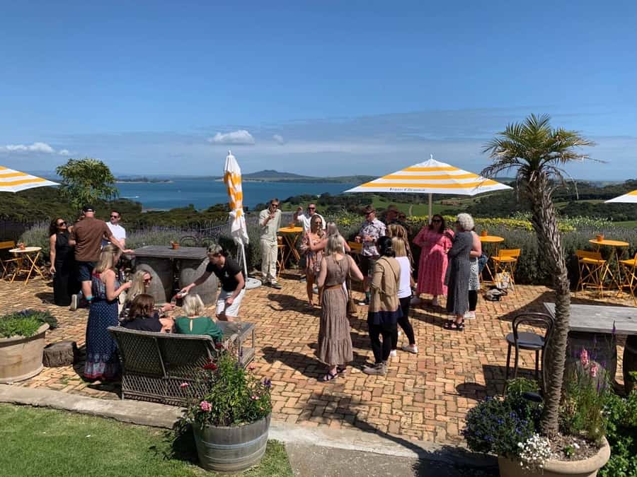 Waiheke Island: Wine Tour & Lunch at Award Winning Venue - Who should book this Waiheke day out?