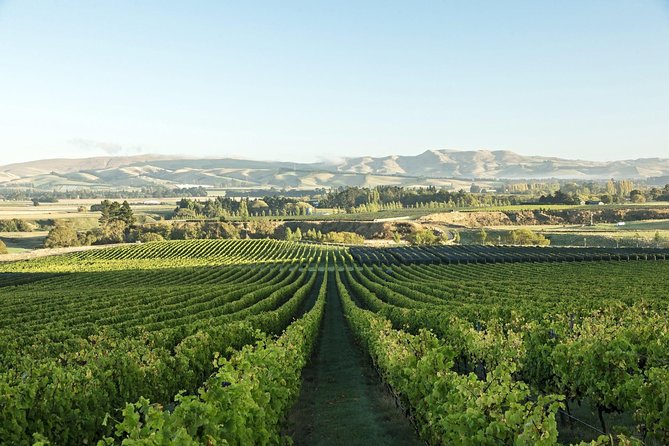 Waipara Wine Experience for 2 or more, inc tastings and lunch - Why Waipara makes a good Christchurch side trip