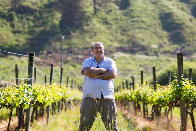Waipara Wine Experience for 2 or more, inc tastings and lunch - Torlesse Wines is the lunch stop